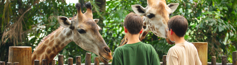 Oslavte začátek školního roku v ZOO s eBenefity